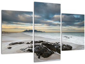 Tablou - Robben Island (90x60 cm)