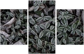 Tablou - Plante înghețate (90x60 cm)