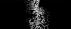 Tablou - Portret de leopard (120x50 cm)