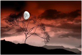 Tablou - Luna luminează noaptea (90x60 cm)