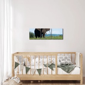 Tablou cu elefant (cu ceas) (90x30 cm)