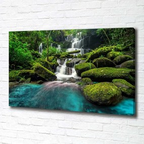 Tablou canvas Cascada din junglă