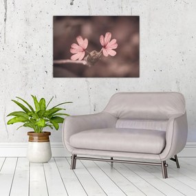 Tablou pe sticlă cu floare roz (70x50 cm)