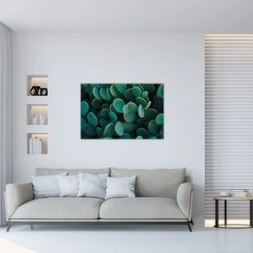 Tablou - Opuntia (90x60 cm)