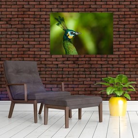 Tablou cu păun (90x60 cm)