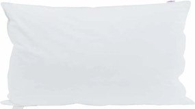 vidaXL Pernă cu pernă 2 pcs Alb 40 x 80 cm Pene