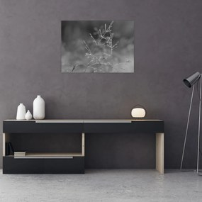 Tablou pe sticlă - Pajiște de țară (70x50 cm)