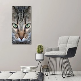 Imprimare tablou canvas Ochi de pisica