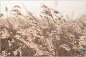 Tablou - Adiere de luncă (90x60 cm)