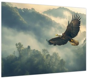 Tablou pe sticlă - Vultur în zbor (70x50 cm)