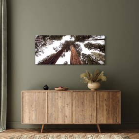 Tablou - Privire prin vârfurile copacilor (120x50 cm)
