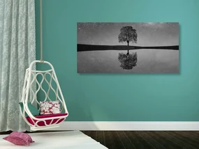 Tablou cerul înstelat peste copacul singuratic în design alb-negru
