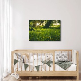 Tablou cu natura - lunca (90x60 cm)