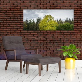 Tablou - Copac verde în câmp (120x50 cm)