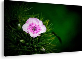 Tablou cu floare roz (90x60 cm)
