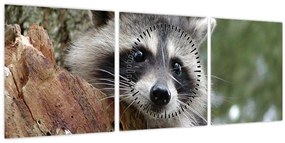 Tablou - Raton (cu ceas) (90x30 cm)