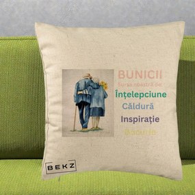 Cadou pentru Bunici - Perna Personalizata Bunicii Sursa Intelepciune Caldura Acuarela, 40x40 cm, Bej, Husa Detasabila, Perna Inclusa, BEKZ®
