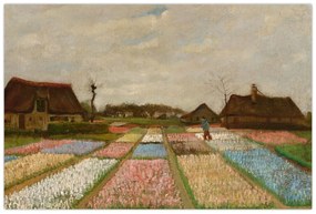 Tablou - Vincent van Gogh, Flower Beds in Holland, reproducere (90x60 cm)