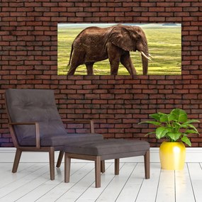 Tablou - Elefantul (120x50 cm)