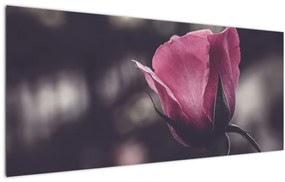 Tablou - Detaliu florii de trandafir (120x50 cm)