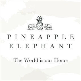 Perdea teracotă 140x229 cm Zanzibar Stripe – Pineapple Elephant