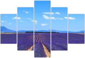 Tablou - Câmp de lavandă (150x105 cm)