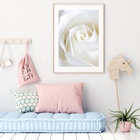 Poster - Trandafir blând (A4)
