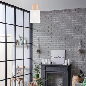 Plafonieră ARI 1xE27/60W/230V d. 16 cm alb fag