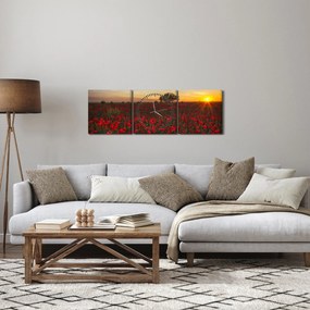 Tablou cu lunca și macii (cu ceas) (90x30 cm)