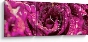 Tabloul cu floarea trandafirului roz (cu ceas) (90x30 cm)
