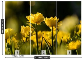 Fototapet Yellow Tulip