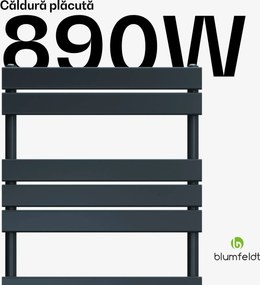 Blumfeldt Fairmont calorifer | 60 x 180 cm | Montaj pe perete | Design modern | Funcționare cu apă caldă