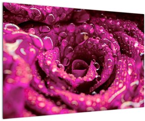 Tabloul cu floarea trandafirului roz (90x60 cm)