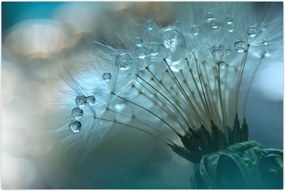 Tablou - păpădie - petrol (90x60 cm)