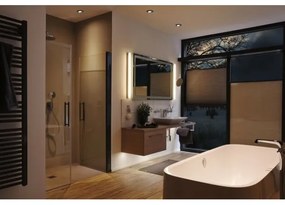 SET 3x corp de iluminat încastrat pentru baie LED/6W IP65 CALLA 230V Paulmann 99991