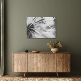 Tablou pe sticlă - Păpădie (70x50 cm)