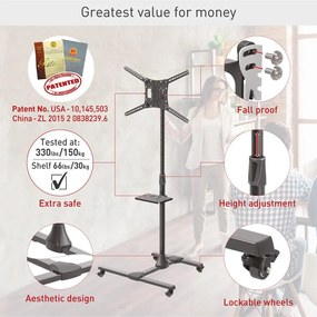 Stand TV Barkan 13-65" 50kg