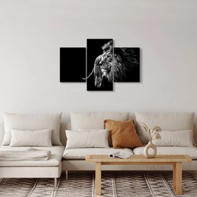 Tablou - Leu (90x60 cm)