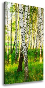 Print pe canvas Pădurea de mesteacăn