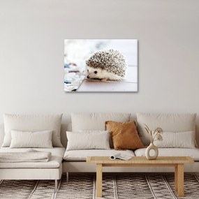 Tablou cu arici (70x50 cm)