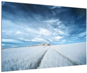 Tablou - Câmp (90x60 cm)