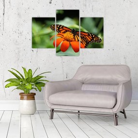 Tablou cu fluture pe floare (90x60 cm)