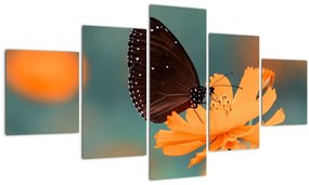 Tablou - fluture pe o floare portocalie (125x70 cm), în 40 de alte dimensiuni noi