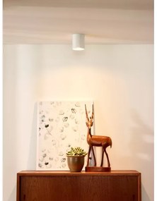 Lucide 09100/01/31 - Lampa spot BODI 1xGU10/50W/230V