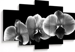 Tablou floare de orhidee (150x105 cm)