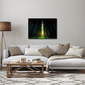 Tablou cu pădurea întunecată (70x50 cm)