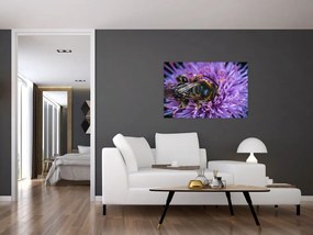Tablou cu albina pe floare (90x60 cm)