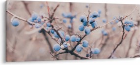 Tablou cu fructe pe tufiș (120x50 cm)