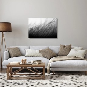 Tablou pe sticlă - Iarba în vânt (70x50 cm)