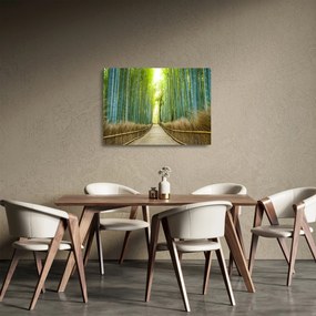 Tablou pe sticlă - Pădure de bambus (70x50 cm)